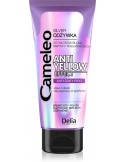 Odżywka SILVER do włosów blond CAMELEO 200 ml
